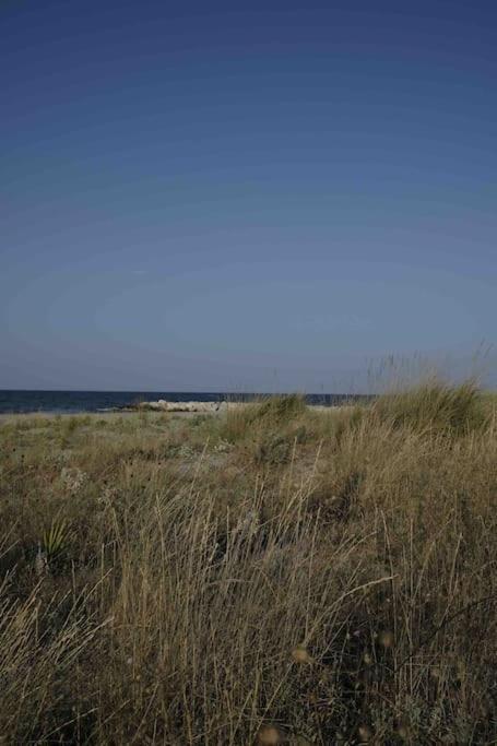 Casa Vacanze Campomarino  Exteriér fotografie